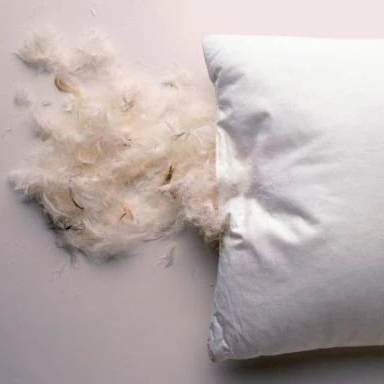 Pillow Micro-Fiber