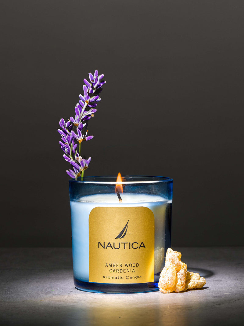 Premium Aroma Fragrance Jar Candle For Home: The Perfect Gift For Cozy Evenings <small> (amber wood gardenia-blue)</small>